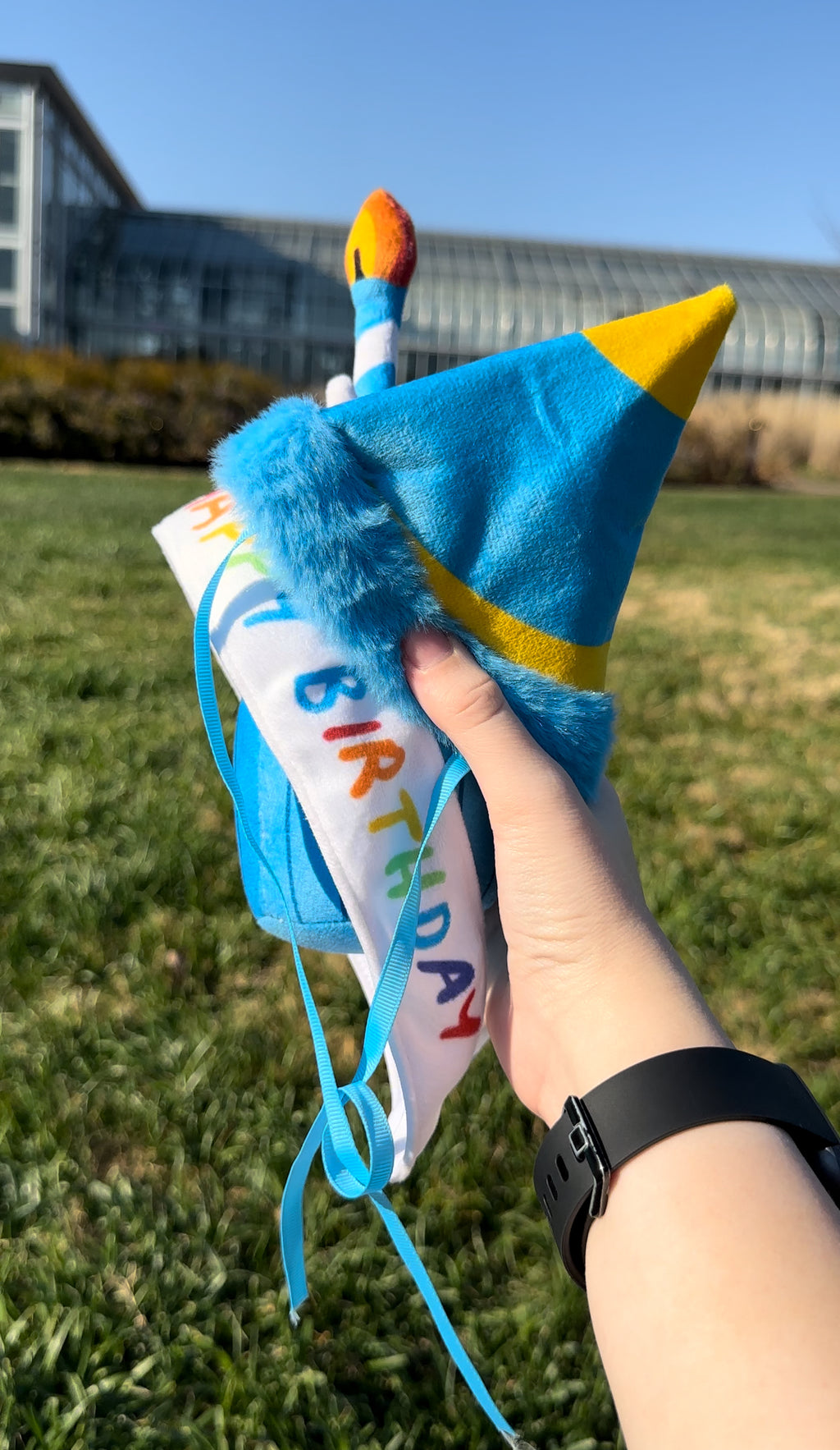 Rocky's and Baby Rocky's  Birthday Outfits