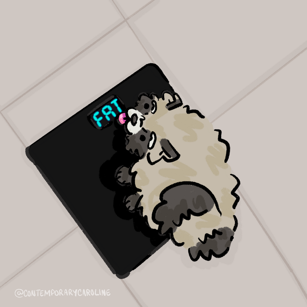 Anything Commission