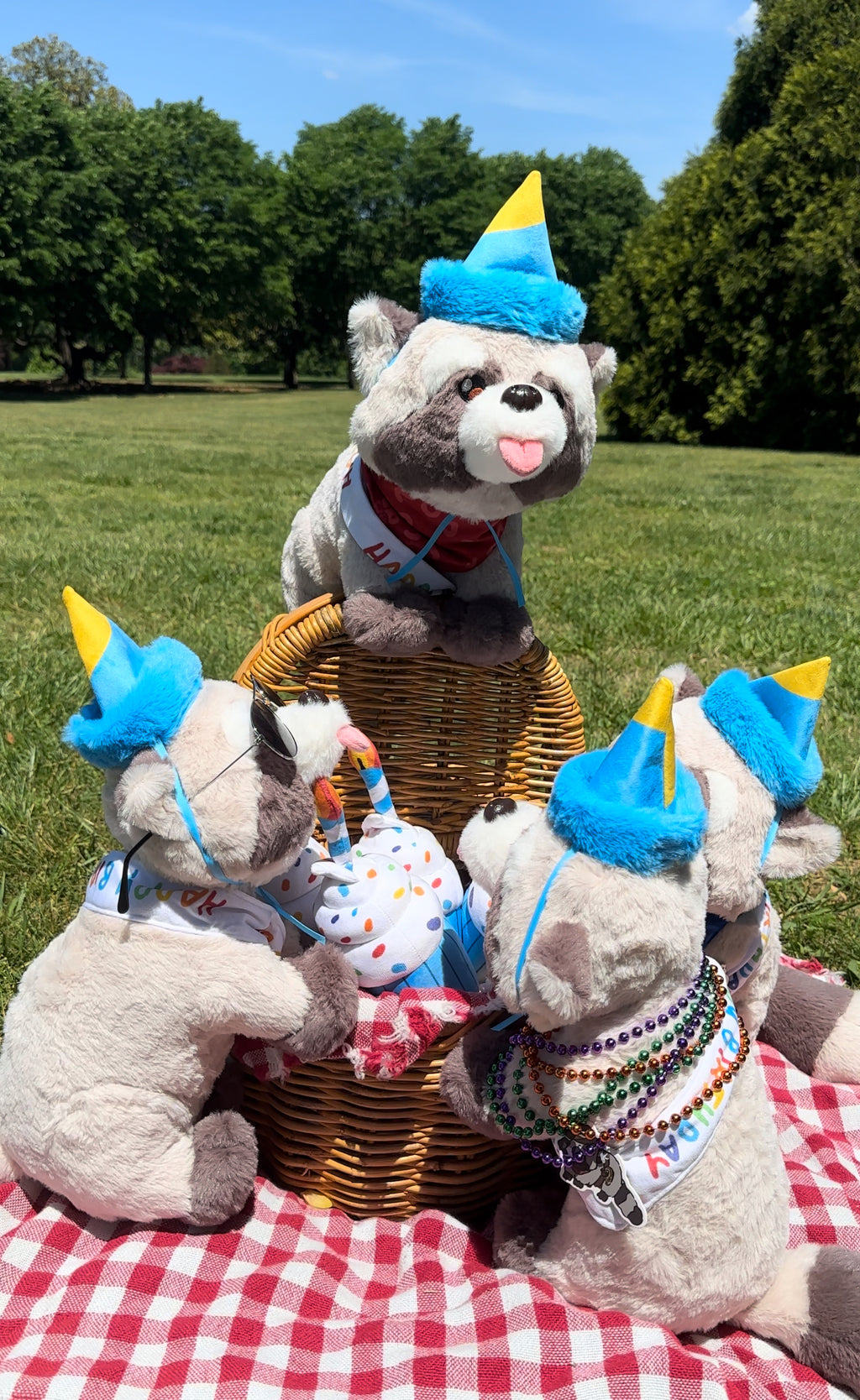 Rocky's and Baby Rocky's  Birthday Outfits