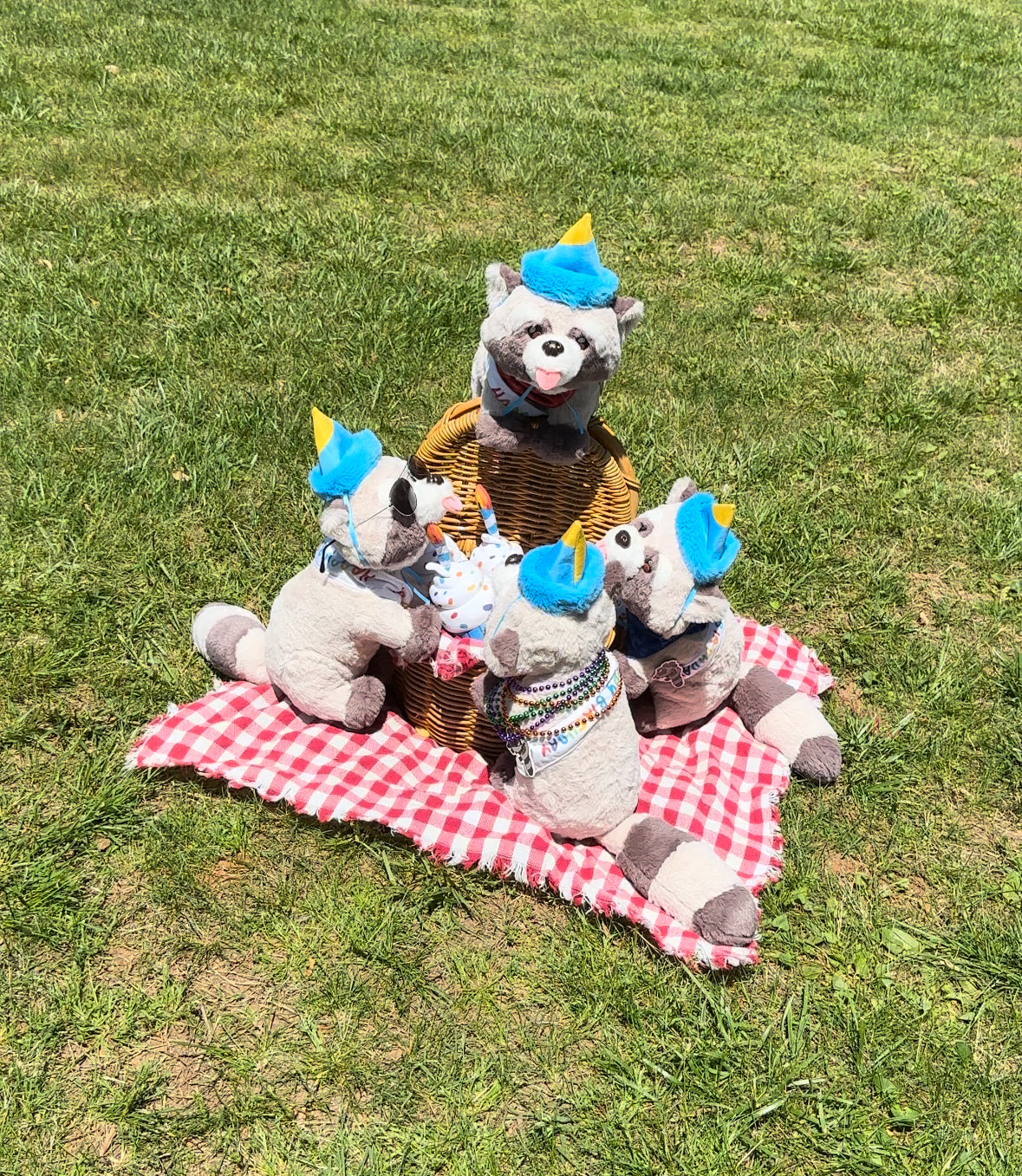 Rocky's and Baby Rocky's  Birthday Outfits