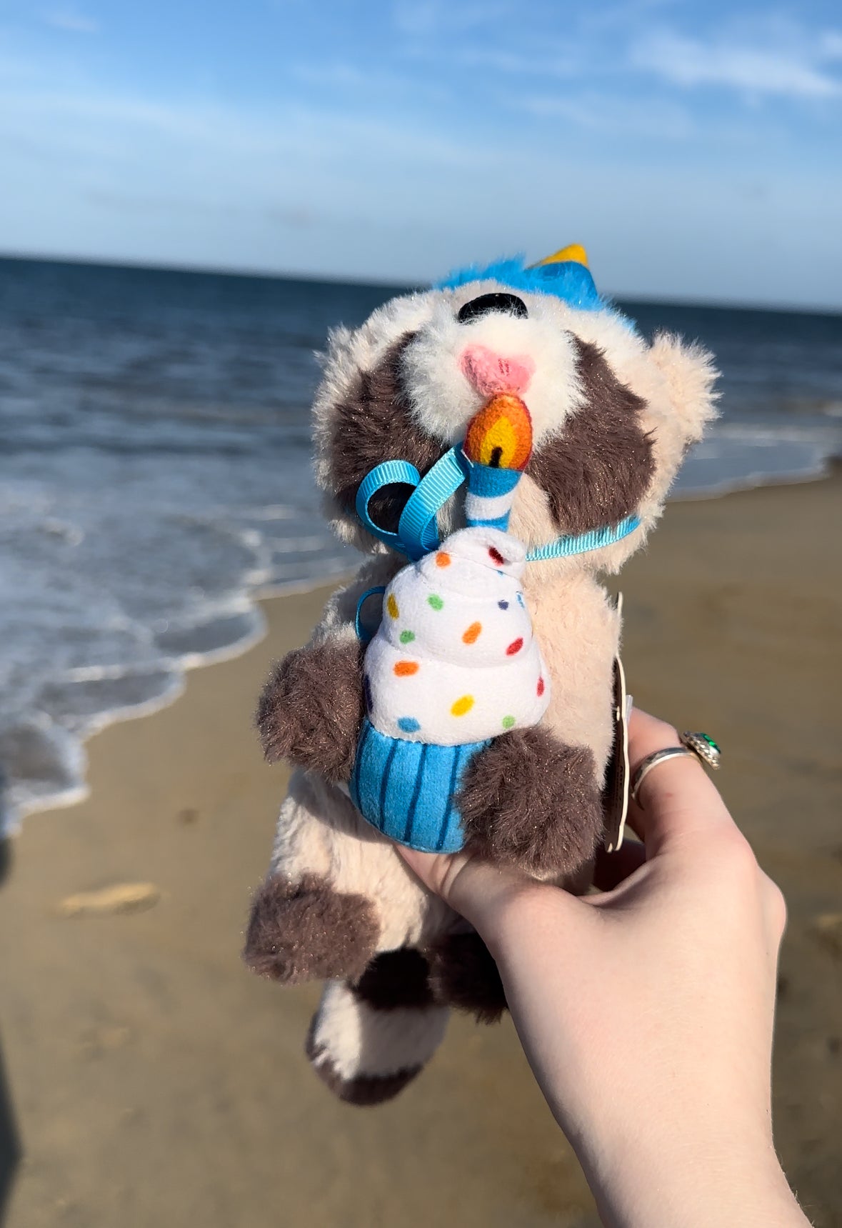 Rocky's and Baby Rocky's  Birthday Outfits