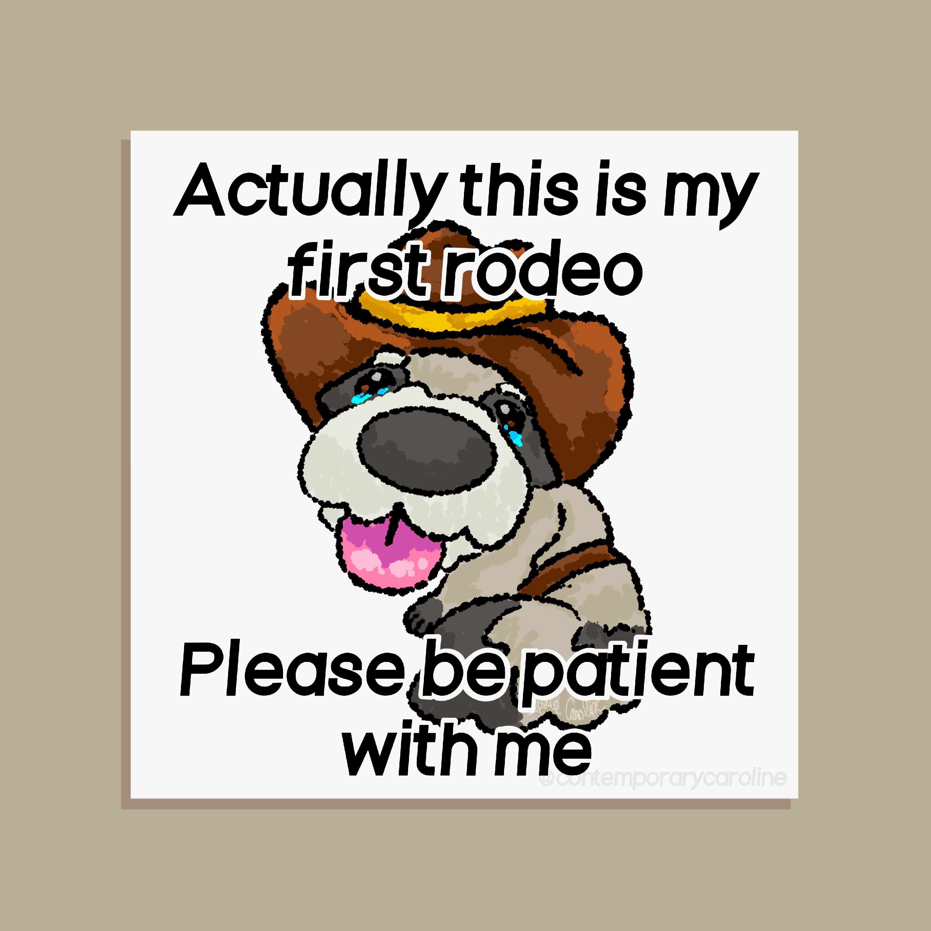 Rocky Actually this is my first rodeo Please be patient with me Print