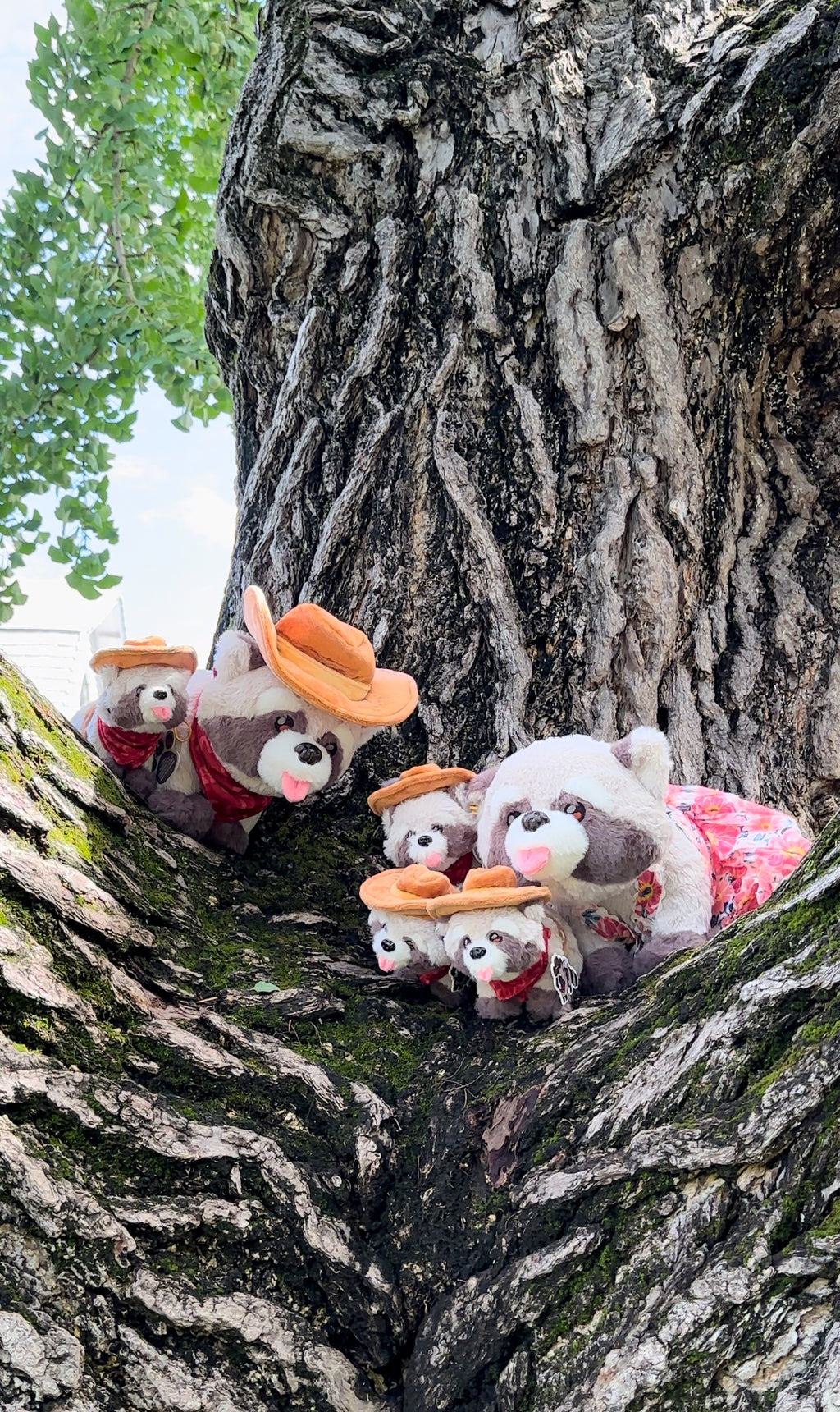 Baby Rocky the Raccoon Fully Posable Plush (LIMITED EDITION /100)