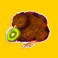 Kiwi Bird Sticker