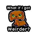 What if I got Weirder LPS Sticker