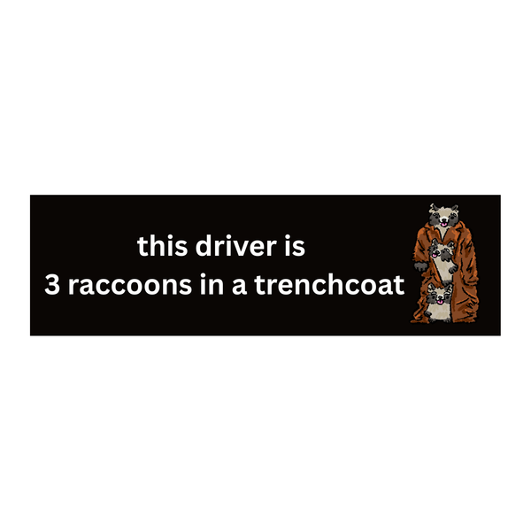 3 Raccoons in a trenchcoat Bumper Sticker