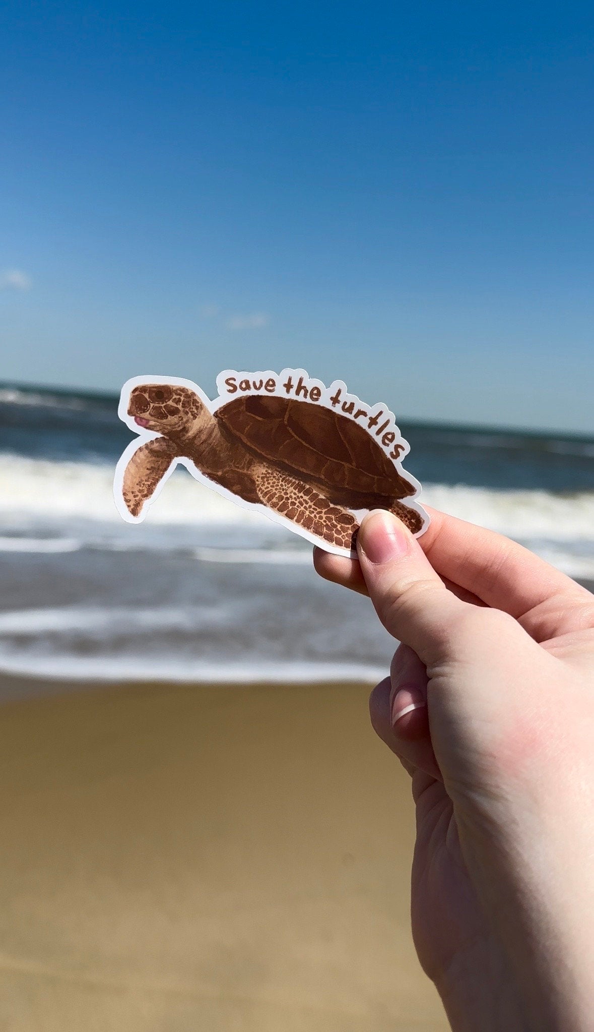 Save the Sea Turtles Sticker