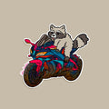 Rocky Motorcycle Sticker